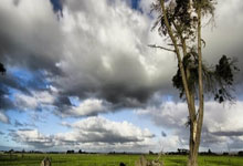 周易起名官网免费下载安装,周易起名百度百科