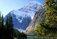 最高法院典型案例发布网站查询,最高人民法院案例公报订阅