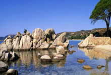 中国周易起名网官网是哪个公司的,中国周易起名协会